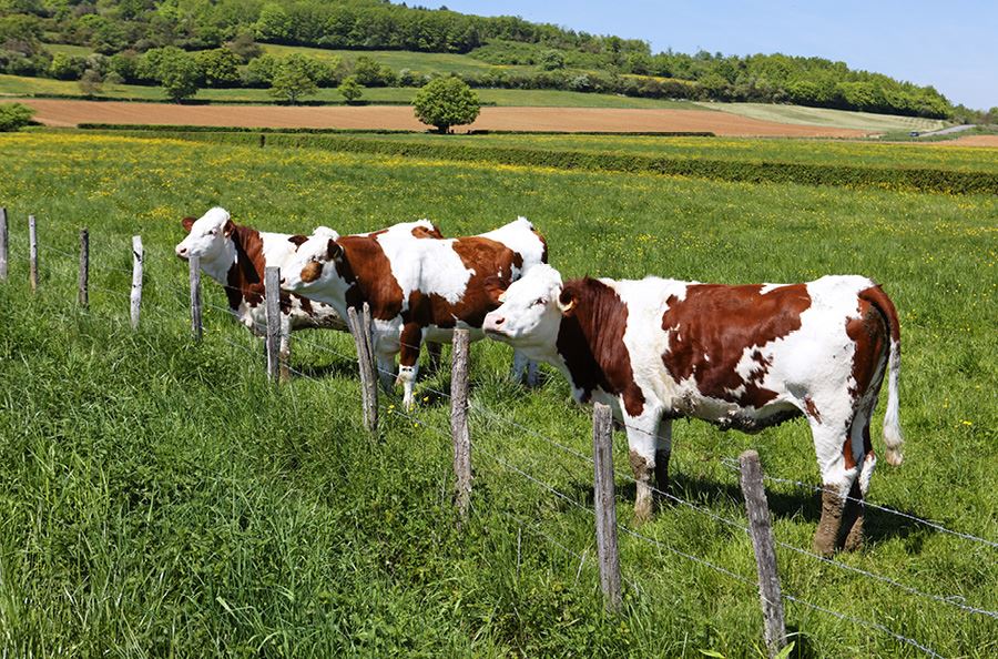 Image de la catégorie Dérouleuses pièces-acc.