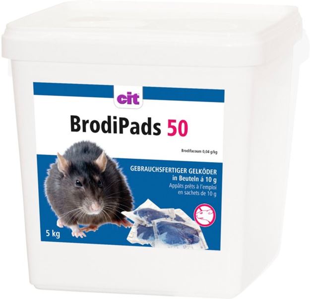 Image sur BrodiPads