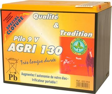 Image de Pile 130Ah 9V